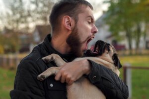 5 ting du ikke bør gjøre med hunden din