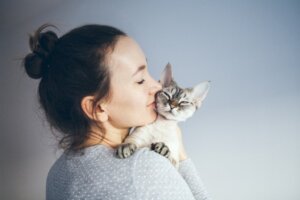 Er det bra for helsen din å leve med en katt?