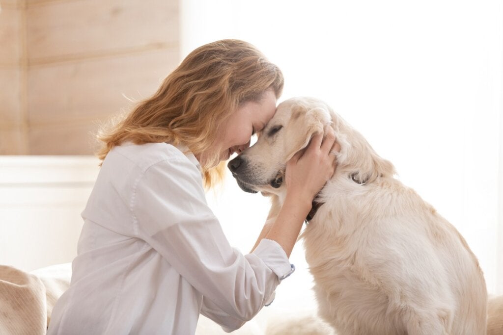 Hvorfor hunden din lener seg på deg