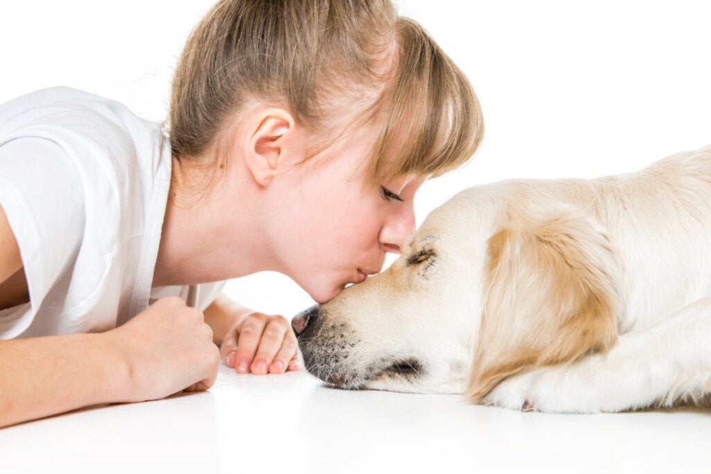 9 tips for å forlenge livet til hunden din