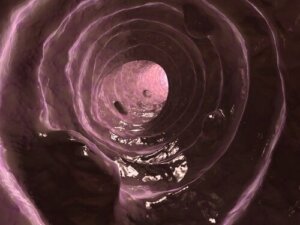 Slim i hunders avføring: årsaker og behandling